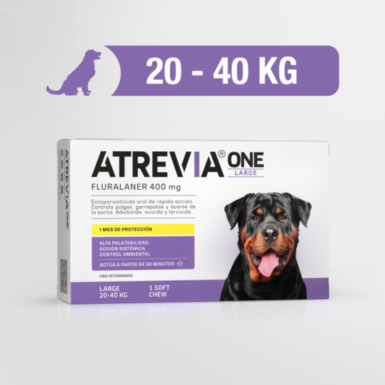 AtreviaONE-Large