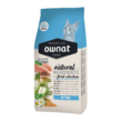 OWNAT-GATITOS-KITTEN-QUITO
