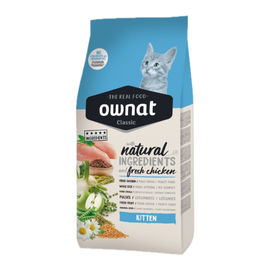 OWNAT-GATITOS-KITTEN-QUITO