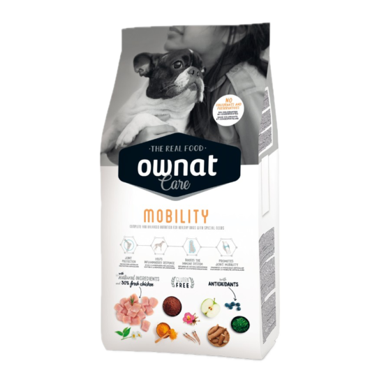 ownat-mobility-quito-ecuador