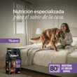 AVANT-SENIOR-QUITO