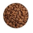 Ownat-Classic-Monop-Iberian-Pork-DOG--0005