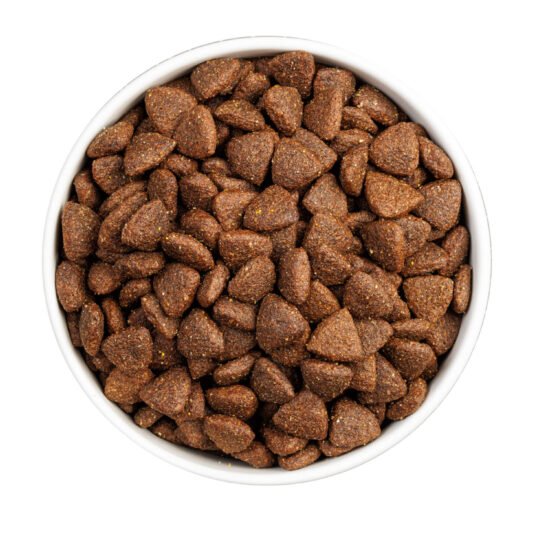 Ownat-Classic-Monop-Iberian-Pork-DOG--0005