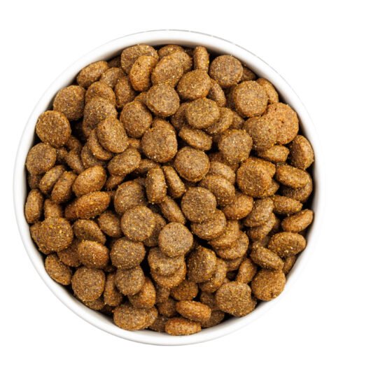Ownat-Classic-Monop-Salmon-DOG--0005-Editar