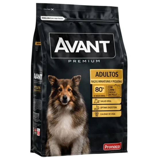 avant-adulto-raza-pequeña-miniatura-quito-agropets