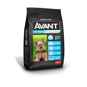 AVANT CACHORRO RAZA PEQUEÑA