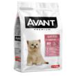 avant-gatitos-quito-agropets-QUITO