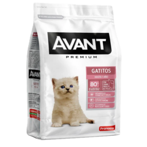AVANT GATITOS