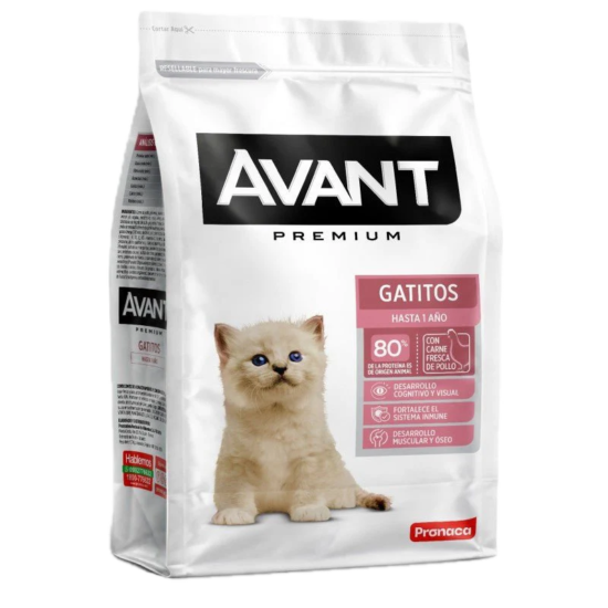 avant-gatitos-quito-agropets-QUITO avant-gatitos-quito-agropets-QUITO
