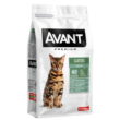 avant-gatos-adultos-quito-agropets-quito