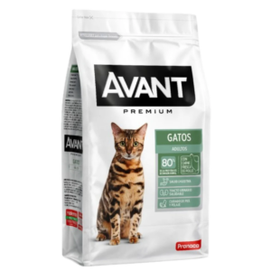 AVANT GATOS