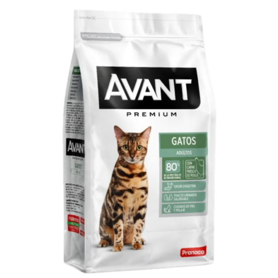 avant-gatos-adultos-quito-agropets-quito