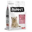 avant_gatitos-agropets-quito