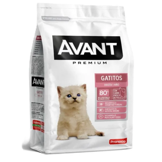 avant_gatitos-agropets-quito
