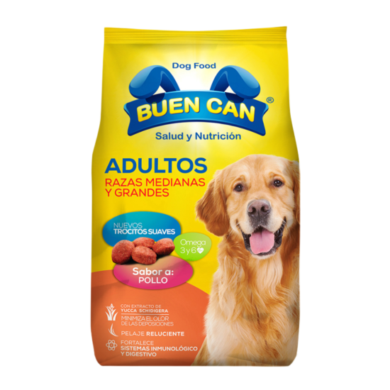 buencan adulto