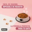 gatito