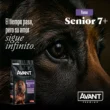 senior