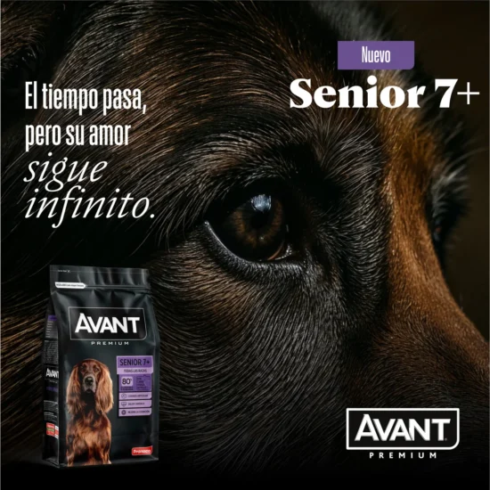 senior