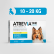 Atrevia ONE Medium