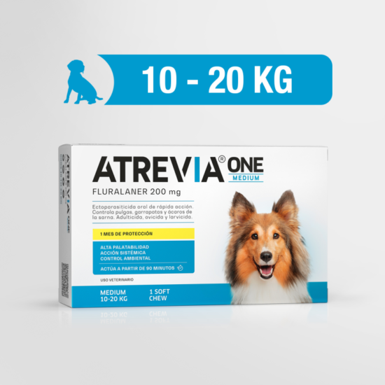 Atrevia ONE Medium