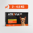 Atrevia XR Mini 3 meses