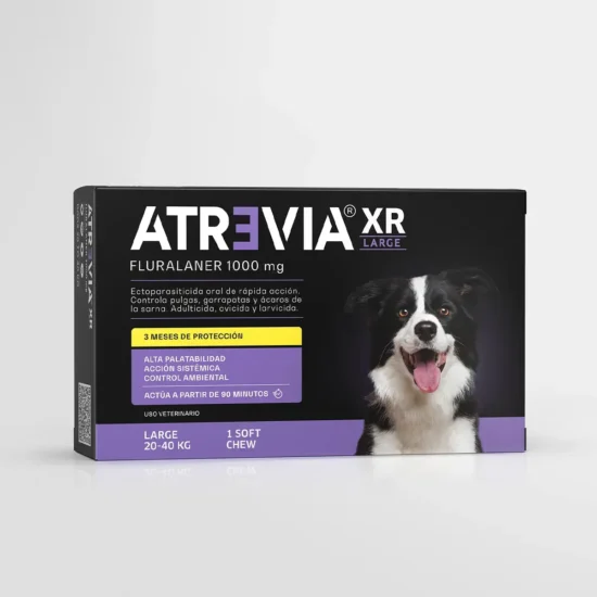 Atrevia xr large 3 meses