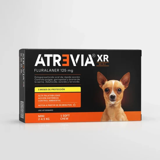 Atrevia xr mini 3 meses