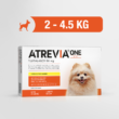 AtreviaONE-Mini
