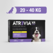 AtreviaXR-Large 3 meses