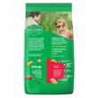 Dog Chow-adulto-RG-dog-chow-trasera