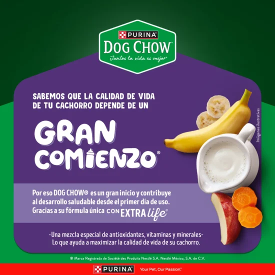 Dog Chow_Mini_Comienzo_.png