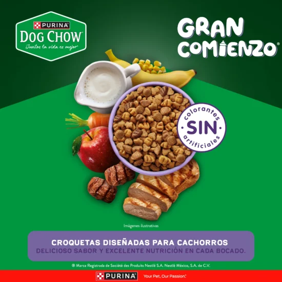 Dog Chow_Mini_Ingredientes_2000x2000_201123.png