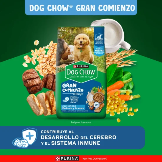 Dog-chow-cach.jpg