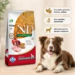 N&D-ancestral-adulto-pollo-granada-medium-quit-agropets