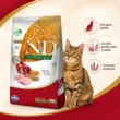N&D-ancestral-gato-pollo-adulto-quito-agropets