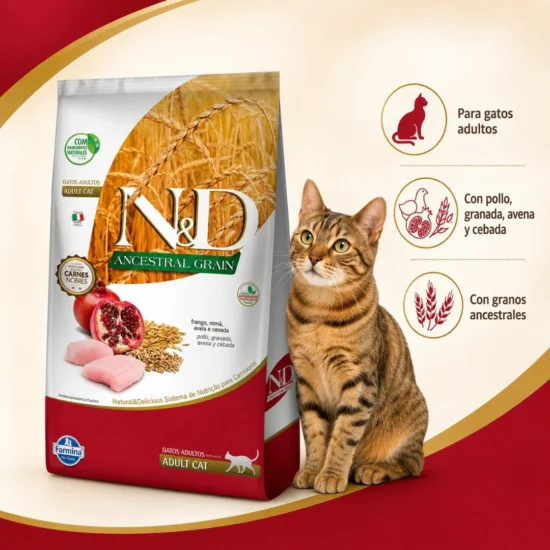 N&D-ancestral-gato-pollo-adulto-quito-agropets