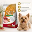 N&D-ancestral-perro-adulto-pollo-granada-medium-quito-agropets