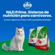 N&D-gatos