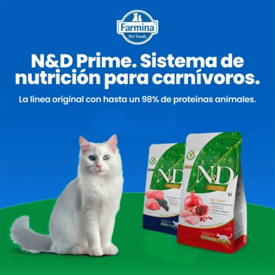 N&D-gatos