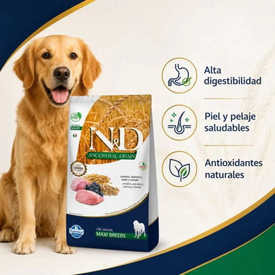 N&D-maxi-adulto