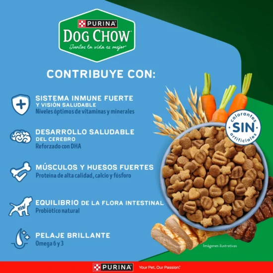 beneficios-dog-chow-cach-rg.jpg