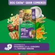 econtent-Minis-Pequena.jpg