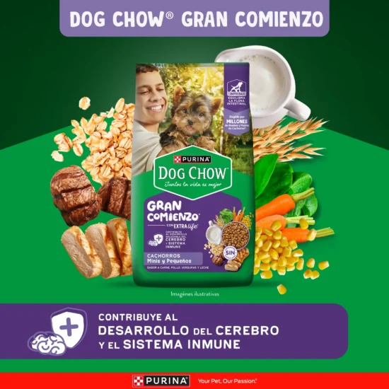 econtent-Minis-Pequena.jpg
