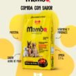 mambo-adulto