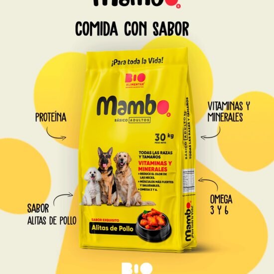 mambo-adulto
