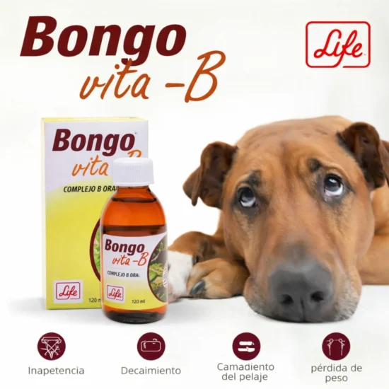 multivitaminico-bongo