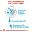 royal-canin-agropets