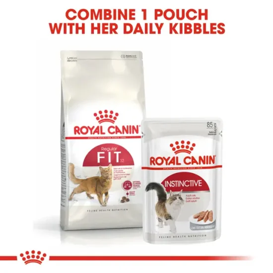 royal-canin-fit-quito-agropets-combo