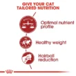 royal-canin-fit-quito-agropets-informacion