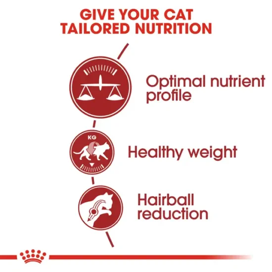 royal-canin-fit-quito-agropets-informacion